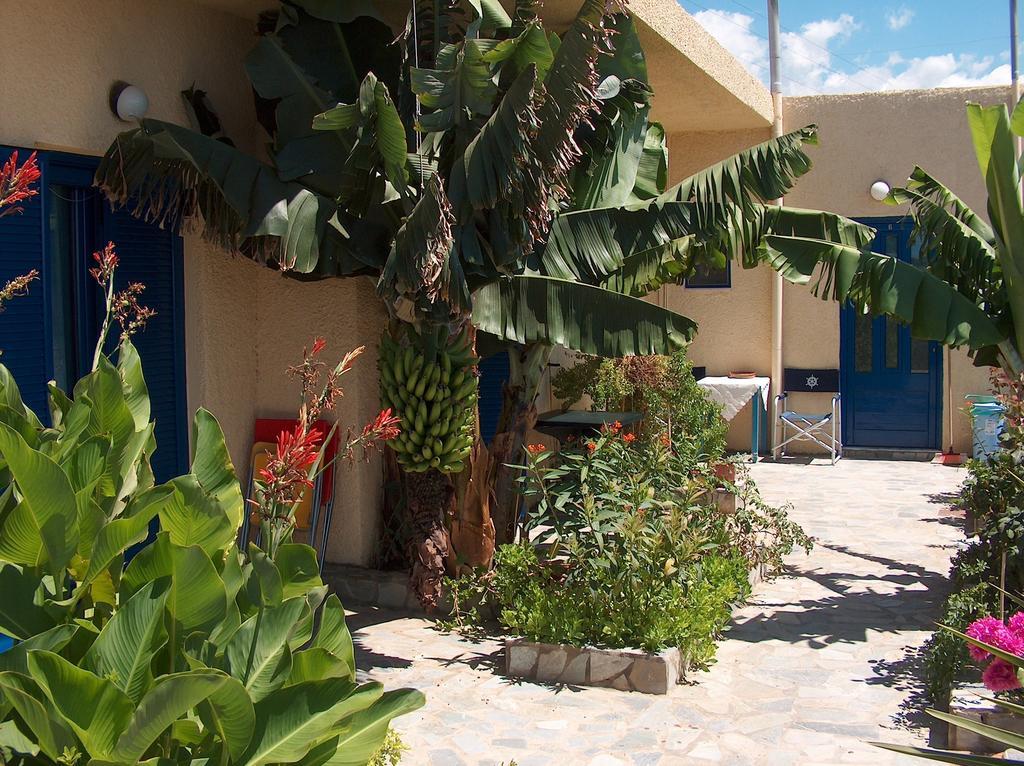 Porto Kastri Studios 객실 사진